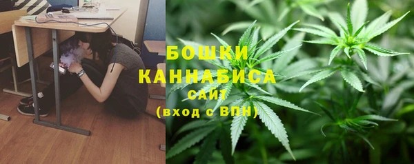 прущие грибы Нягань