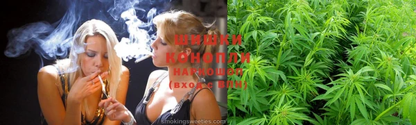прущие грибы Нягань