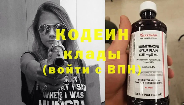 прущие грибы Нягань